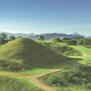 함안군청 별관 이미지