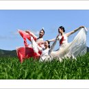 청보리축제장 이미지