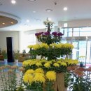 인삼박물관 이미지