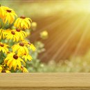 수피부비뇨기과의원 이미지