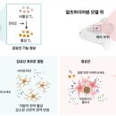 [SNU NOW] 서울대학교 3월의 소식입니다 2024년 3월 21일 (목) 오전 3:38 접 | 연구 ＞ 연구성과 | 의과대학 묵인희 이미지