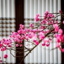 하루의행복펜션 이미지