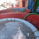 으뜸생선 이미지