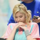 보니 이미지