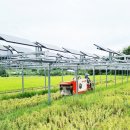 초록빛 태양광발전소 이미지