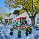 도화리마을 이미지