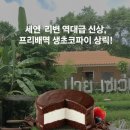 생초시장 | 세븐일레븐 생초코파이 가격 및 판매처 재고 확인 방법 안내