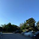 제주성가든 | 제주 오설록 녹차밭 아름다운 티뮤지엄 방문 선물 추천