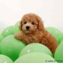 평생교육경영론 이미지