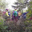 운제산장 이미지