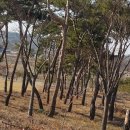 금마농장 이미지