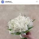 앙상블(ensemble) | [Wedding Plan #4] 본식부케 [에떼플뢰르]/ 웨딩 연주 [아템 앙상블(Atem Ensemble)] 계약 후기