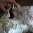 씨유기전원룸점 | 2월의 첫 번째 낭만