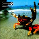 The Prodigy - Firestarter 이미지