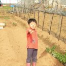 석훈농장 이미지