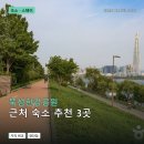 청담 게스트하우스 | 뚝섬한강공원 근처 숙소 추천 3곳: 가격과 후기 장단점 정리