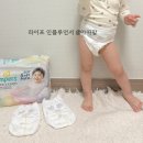 23 | 팸퍼스 아기기저귀 샘플팩 신청 방법 23개월 아기 후기