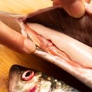 고래메드 이미지