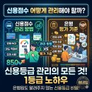 자동우량경보 | 신용점수는 어떻게 관리해야 할까? 은행이 보는 평가 기준은?