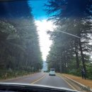 향천리(금오산)야외운동기구 | 대구근교 나들이 :: 구미 금오산 야영장 단풍나무 솔직후기