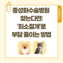 두류동물병원 네이버블로그