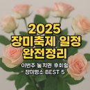 씨유부천도당중앙점 | 2025년 장미축제 일정 완전정리 - 이번주 놓치면 후회할 장미명소 BEST 5