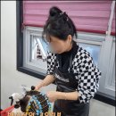 다루헤어 이미지