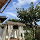 무궁화탕 이미지