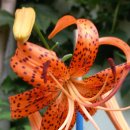 심기일전 하는 주부들의 근검절약 정신~(신) 이미지