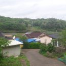 카페모모코