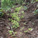 동업 농장 이미지