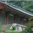 순천-56호 티스토리