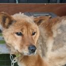 GS25 달서제네스점 이미지