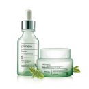 프리메라2 이미지