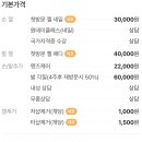 썸머네즈(Summer nezu)