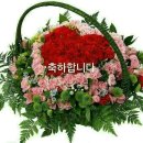 25기 정승원님 딸(미진양)결혼 이미지
