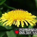 과일나라건강원