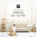 디자인스킨 이미지