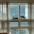 조진호피부과의원 이미지