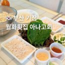 월화횟집 | 부산 기장 월화횟집 아나고회 네이버 스마트스토어 내돈내산 후기
