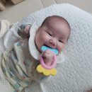 신나고 재미있는 책놀이 | 신생아부터 100일, 150일까지 잘 쓴 육아템 장난감 모음(뽕뽑템) 내돈내산 솔직후기