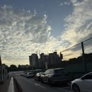 반포종합운동장 | 반포 종합 운동장 주차정보 및 상세 후기(트랙런 규칙)