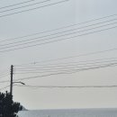카페범