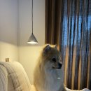 하구암리21 이미지