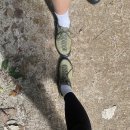 수리산 임도오거리 화장실 이미지