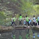 스텝투미