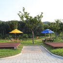 수목화 송정마을 오토캠핑장 이미지