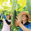 천령식품 이미지