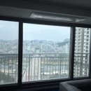 닥터조경