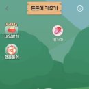돈돈이 이미지